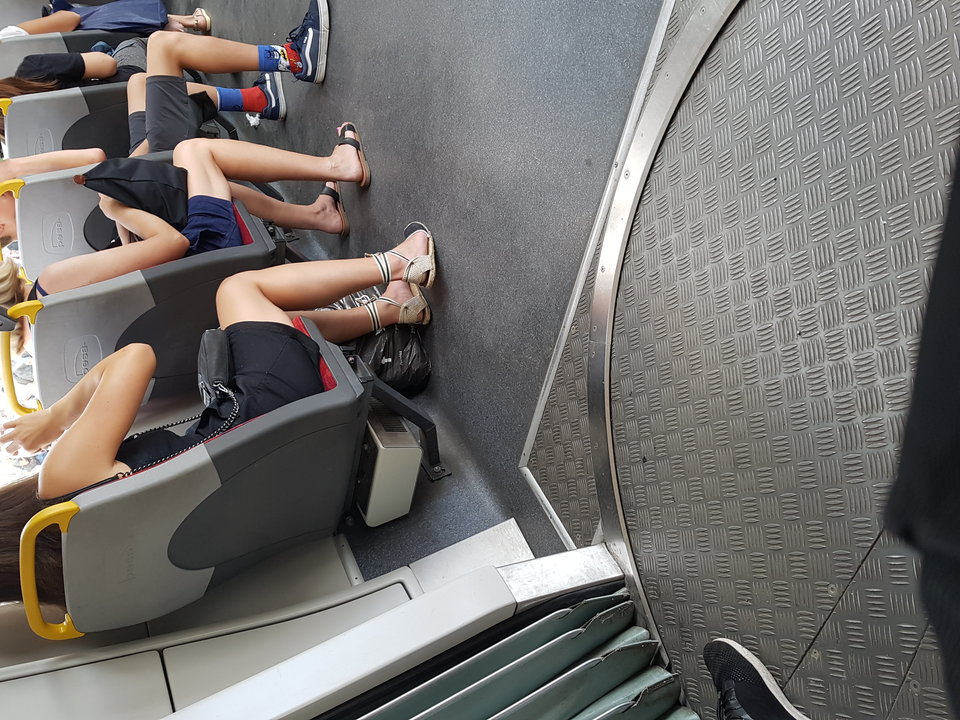 20190725_160751.jpg - Franio123