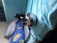 20190725_164546.jpg
