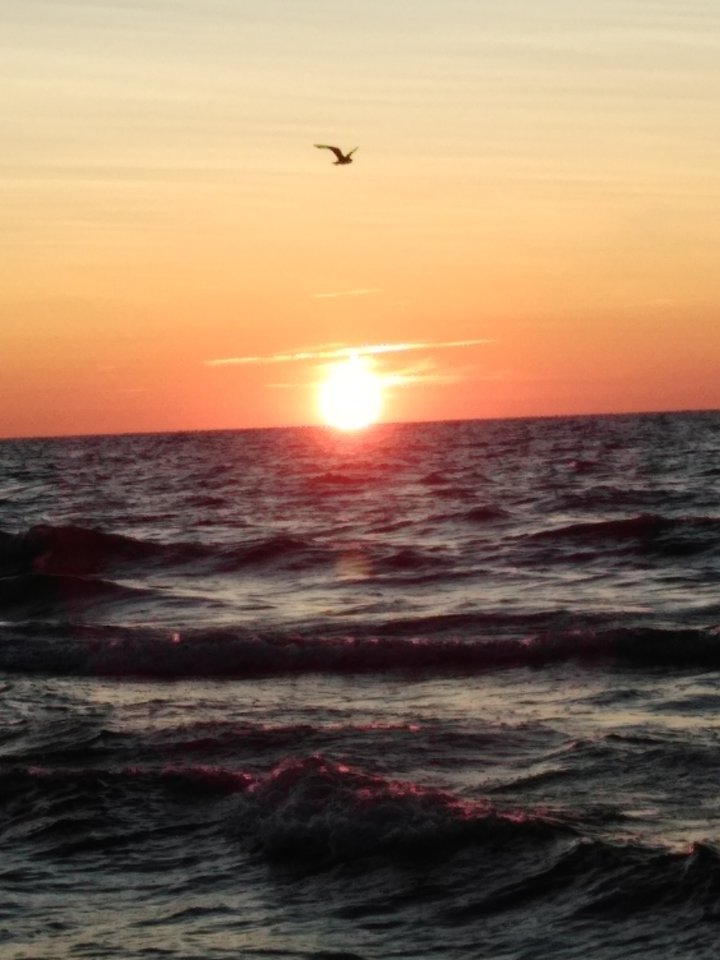 IMG_20190725_205035346.jpg - wawamybi