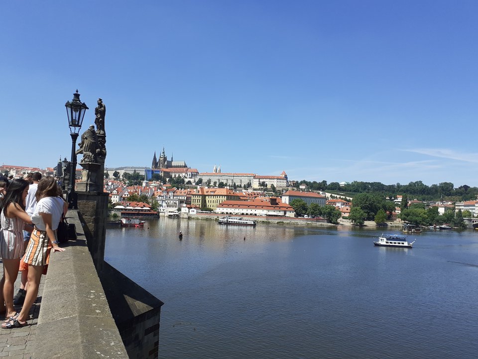 20190724_130843.jpg - Przemodkl79