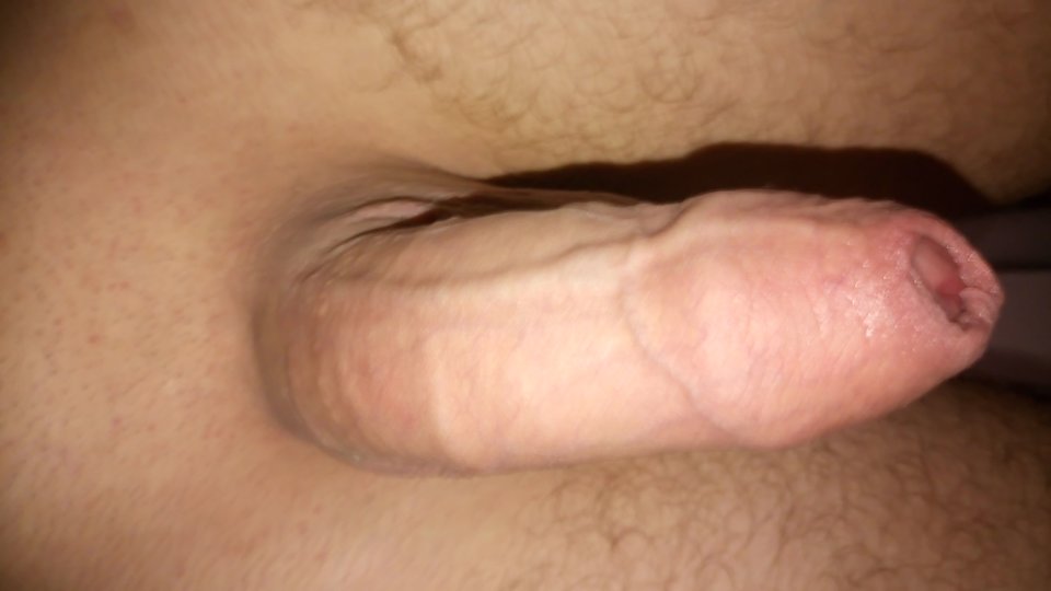 1564149317914498088232.jpg - Piciu1587