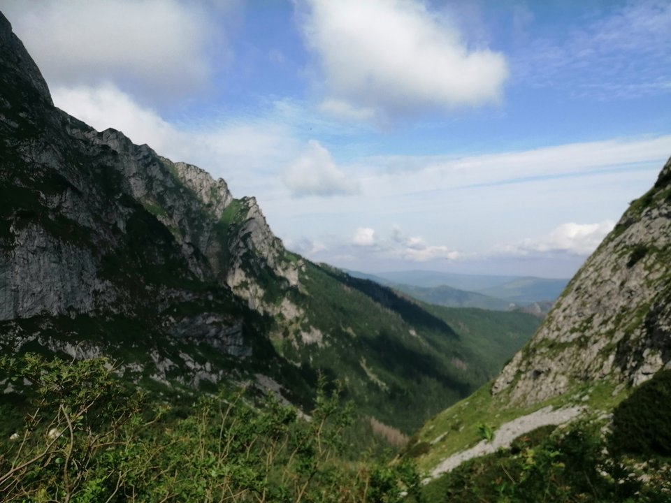 IMG_20190702_091755.jpg - kriskris1979