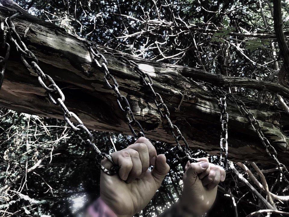 IMG-20190726-WA0044.jpg - Simonski