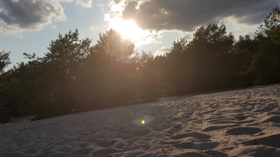 20190726_185640.jpg - my_razem78