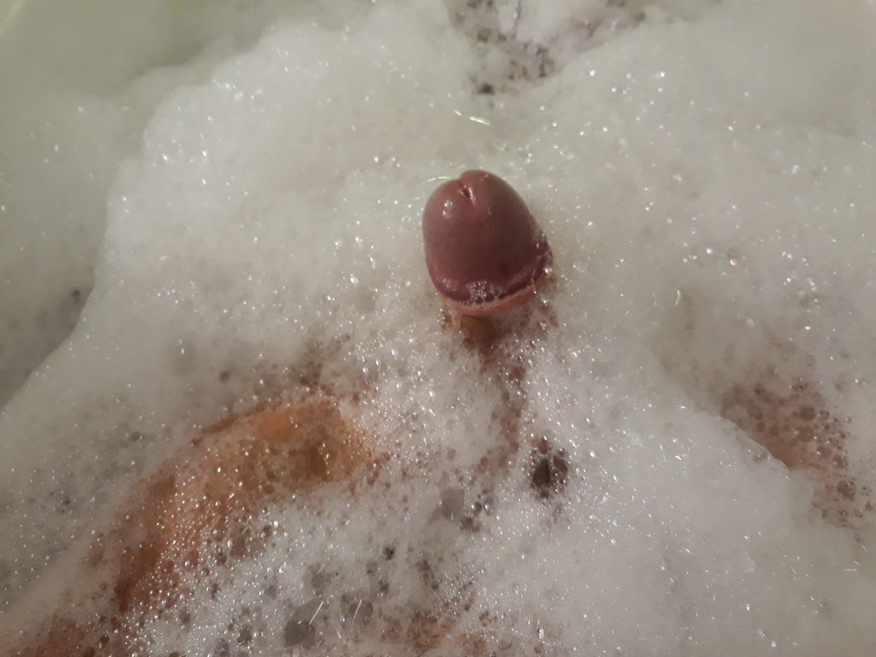 20190727_112327.jpg - diabelpr