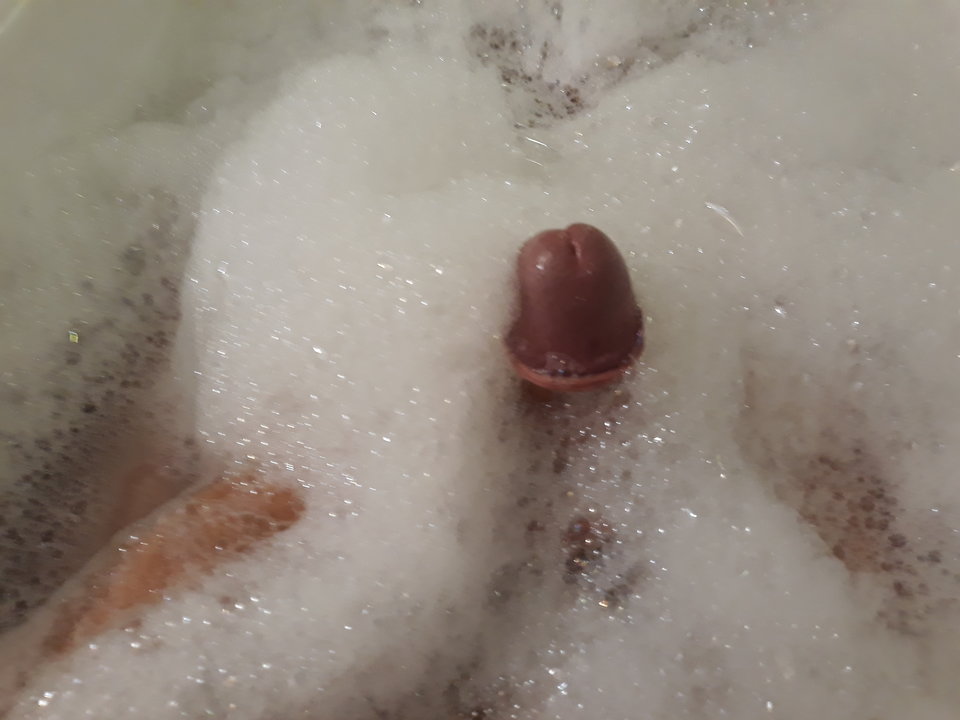 20190727_112340.jpg - diabelpr