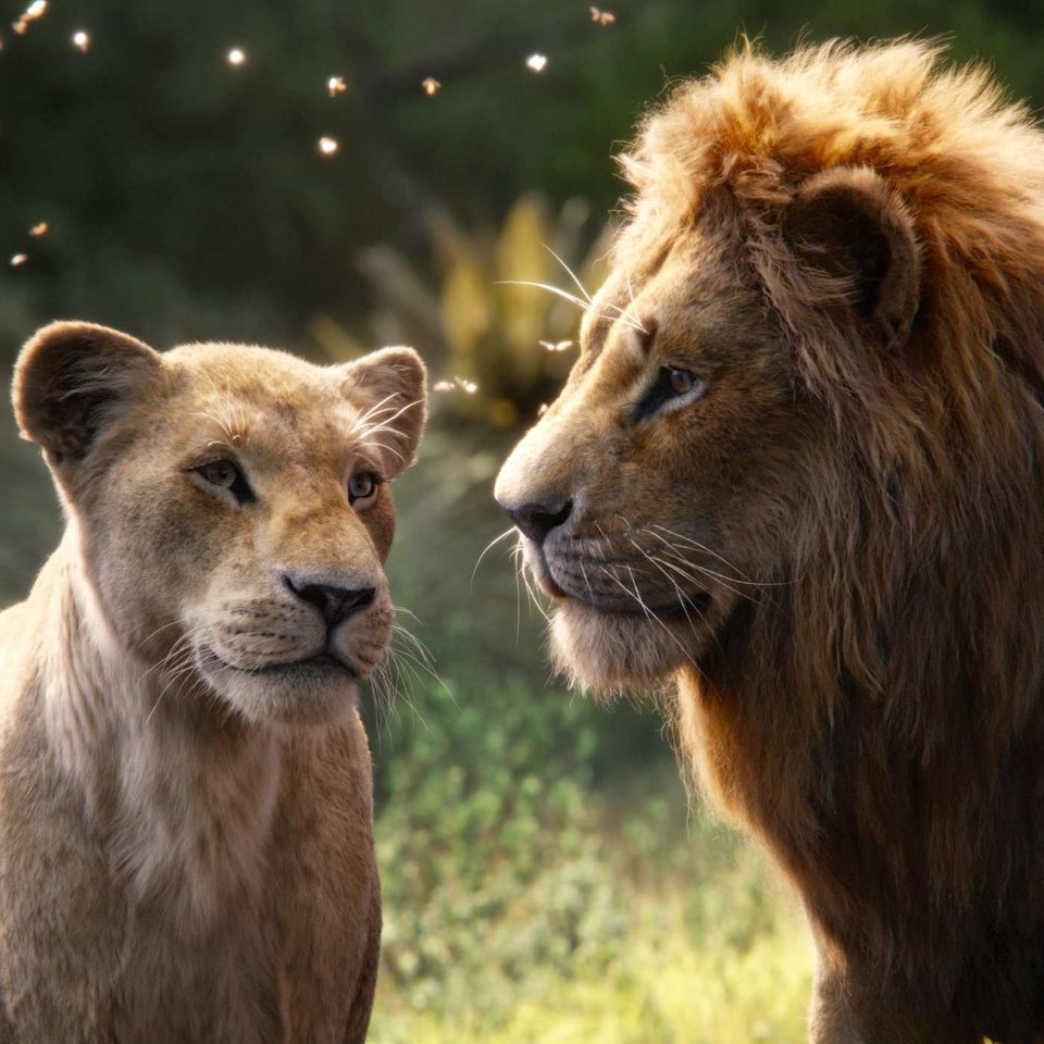 11-the-lion-king.w700.h700.2x.jpg - Robredoo