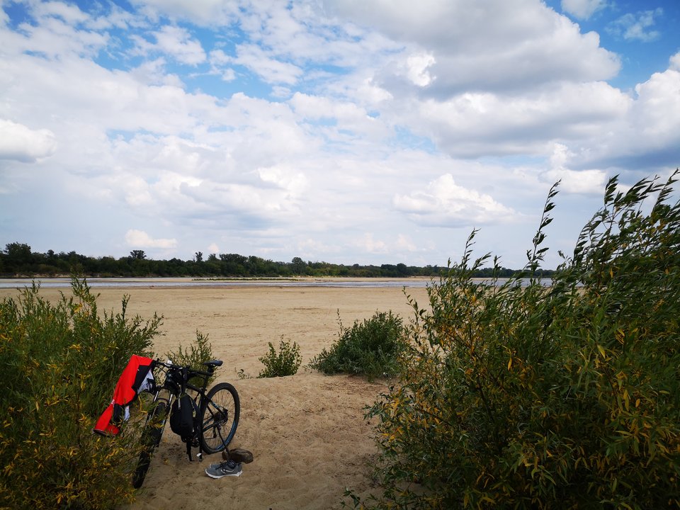 2019-07-27 15.38.17.jpg - tom6970
