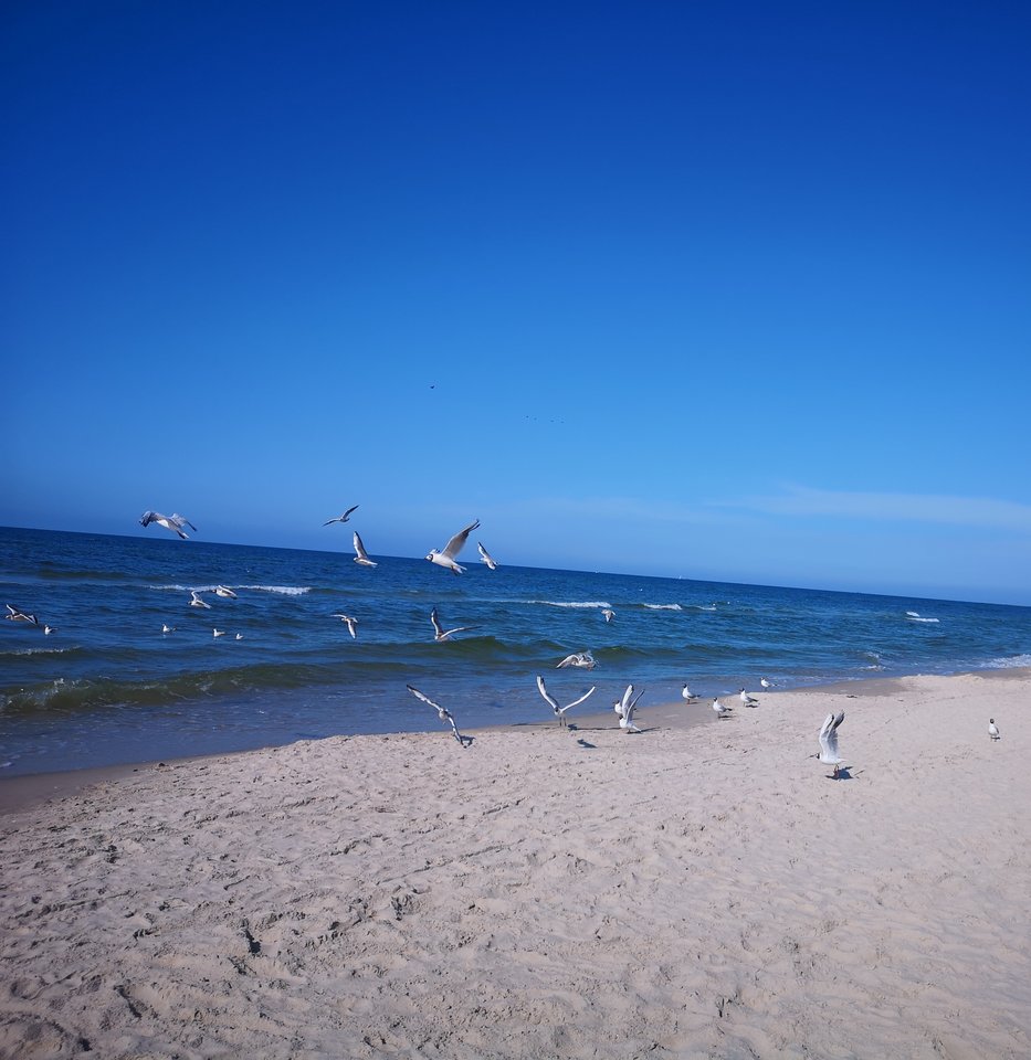 IMG_20190728_043623.jpg - Niunia109