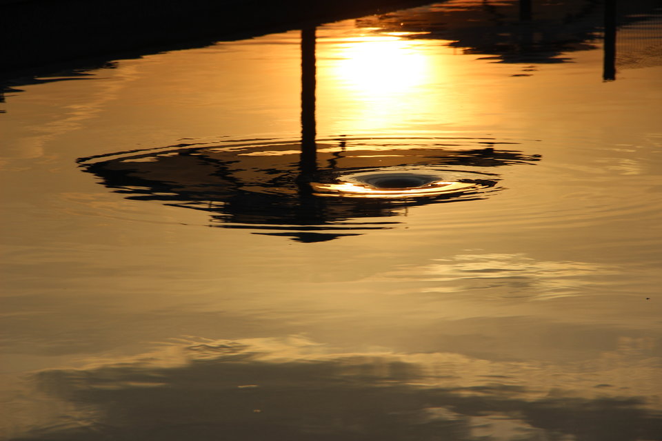 IMG_0028.JPG - tjpara