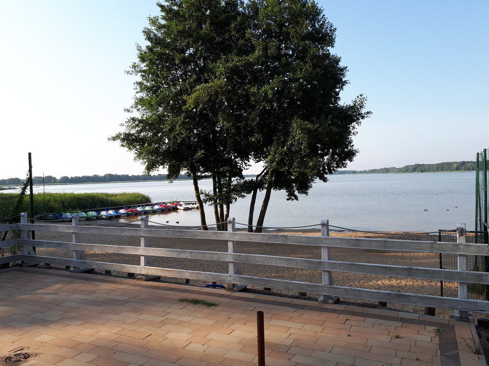 20190728_073930.jpg - A7REPPU