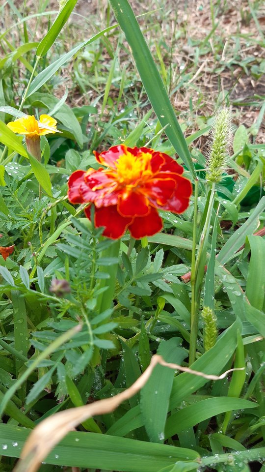 No i fajnie - Nikt_taki