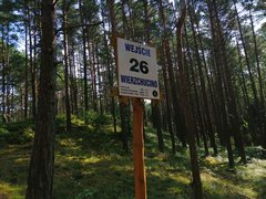 IMG_20190728_103539.jpg
