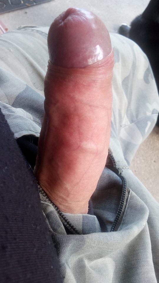 IMG_20190729_1750382037583392.jpg - DajeWam