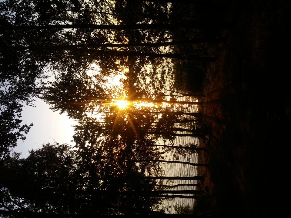 20190630_203609.jpg - Daniel45