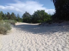 Gdzieś na plaży.. ;)