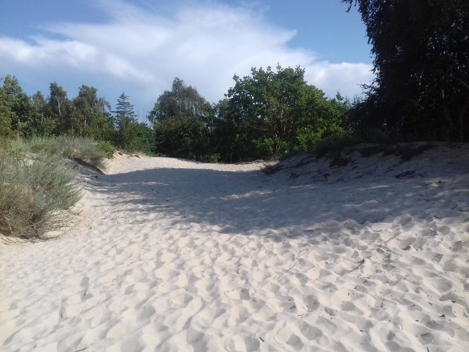 Gdzieś na plaży.. ;) - wlochaty85dojrzalej