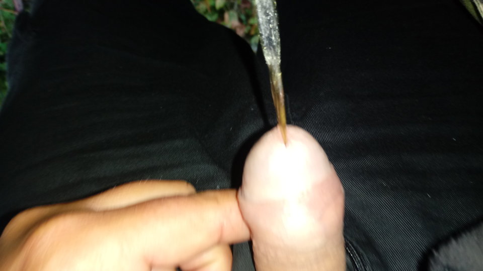 20190731_062502.jpg - tkuk