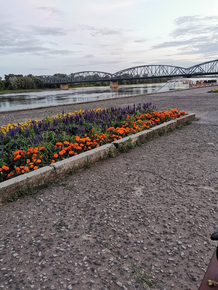 IMG_20190731_204734.jpg - Master_slave89