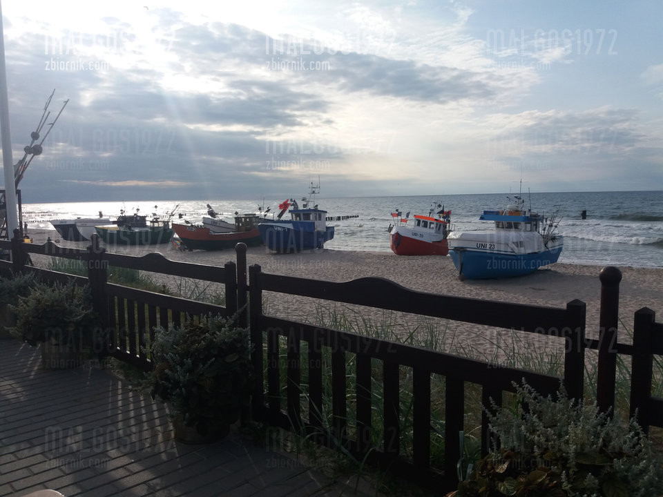 20190731_181710[1].jpg - malgos1972