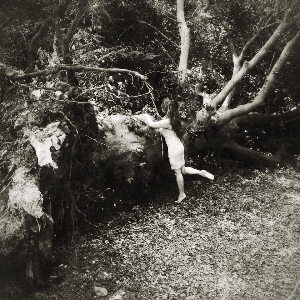 IMG_20190728_205237_279.jpg - Simonski