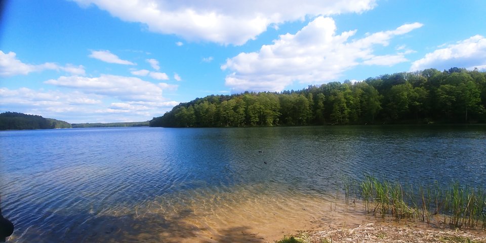 20190505_155718.jpg - juken1