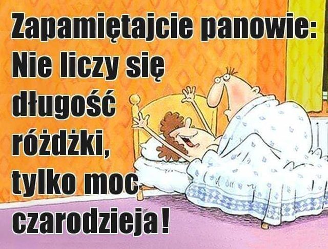 67666740_2864709786879284_2806635843739975680_n.jpg - jgbbb