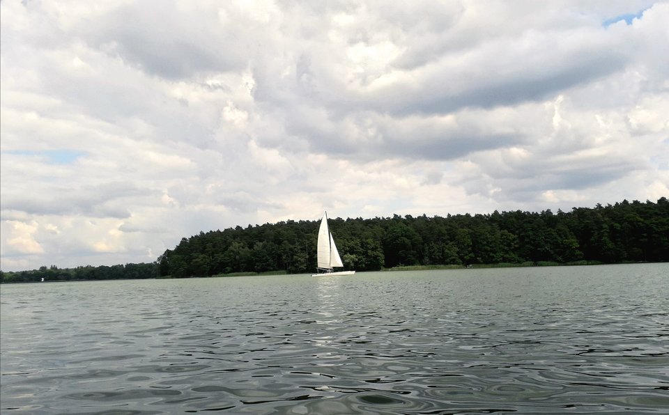 20190801_123009.jpg - Alien65