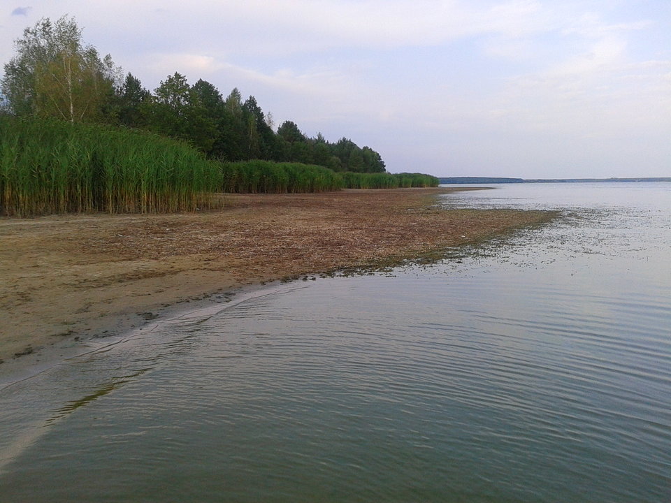 Zdjęcie-0100.jpg - lookin_