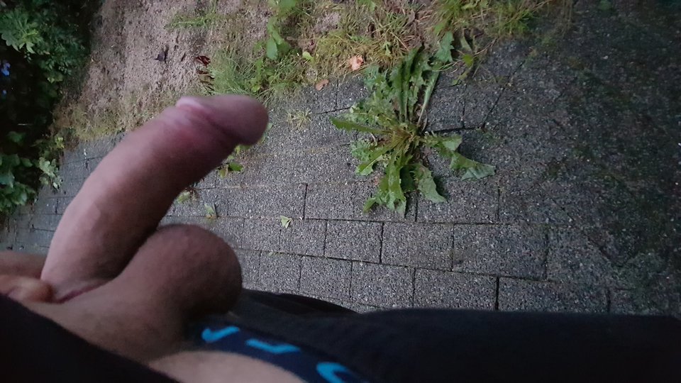 20190802_051657.jpg - Zminimalizowany