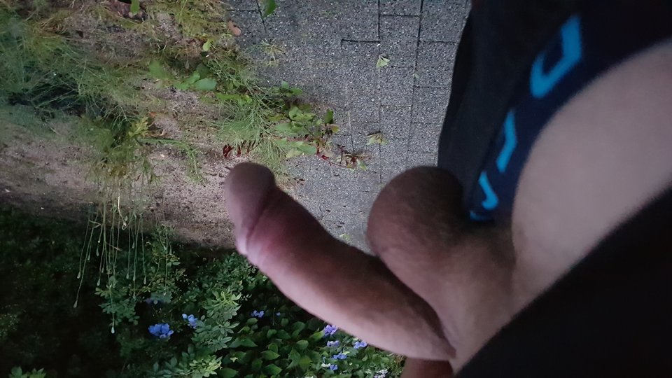 20190802_051605.jpg - Zminimalizowany