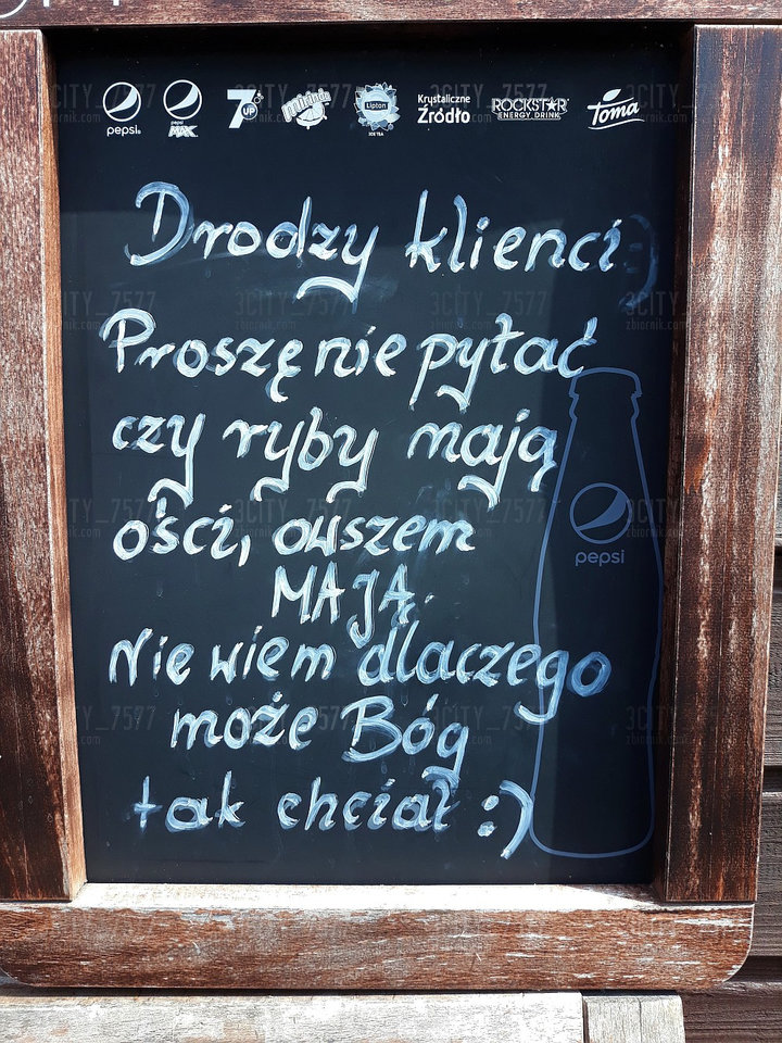 podpatrzone na półwyspie :)) - 3city_7577