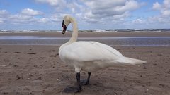 IMG-20190705-WA0009.jpg