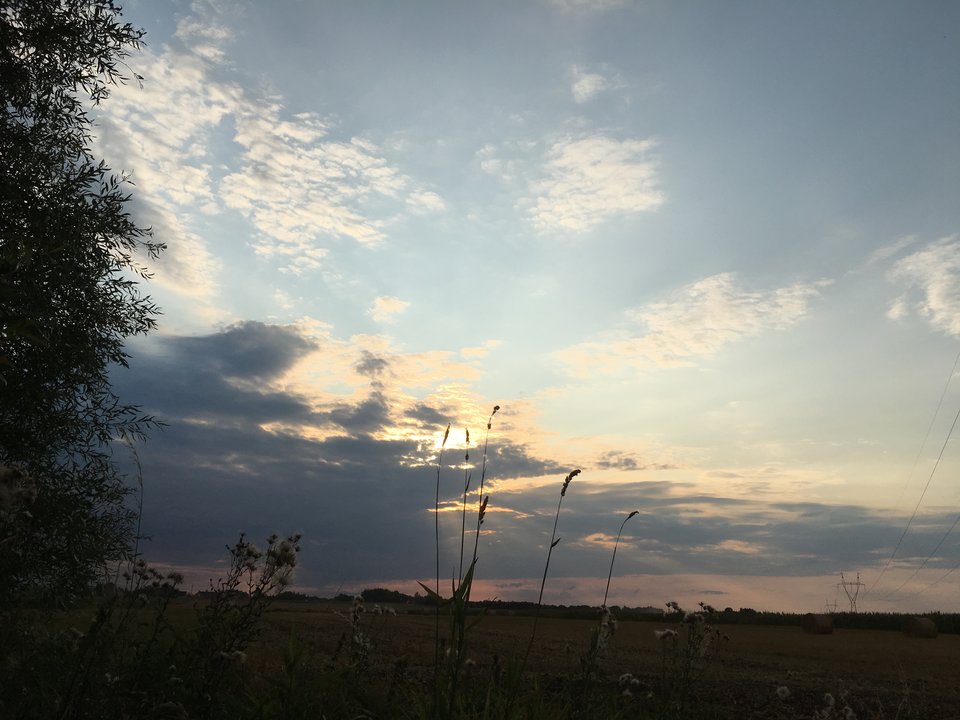 02/08/2019 19.26 - Szef299