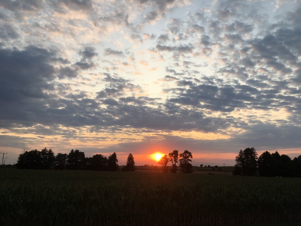 49742B94-5F7B-4F57-AAE9-5F38CECC51FB.jpeg - Szef299