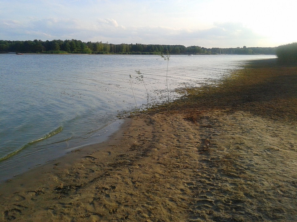 Zdjęcie-0102.jpg - lookin_