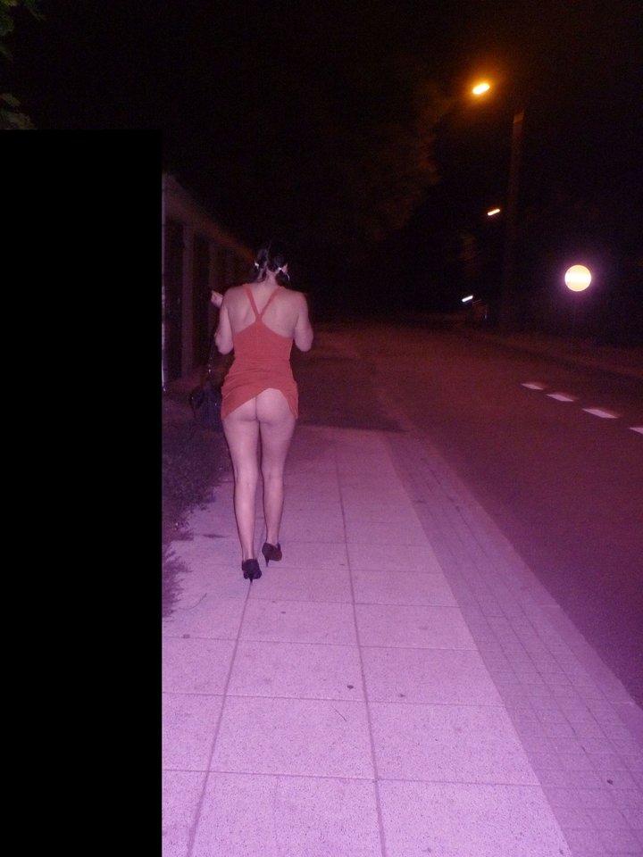 P1070537.jpg - afantika