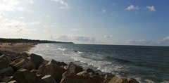 IMG_20190802_175621.jpg