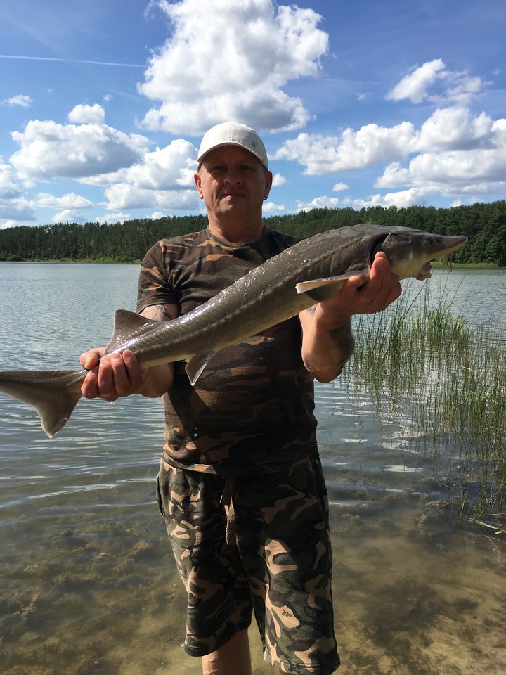 44F3C567-541D-485F-AE58-8C6758379413.jpeg - hoop1