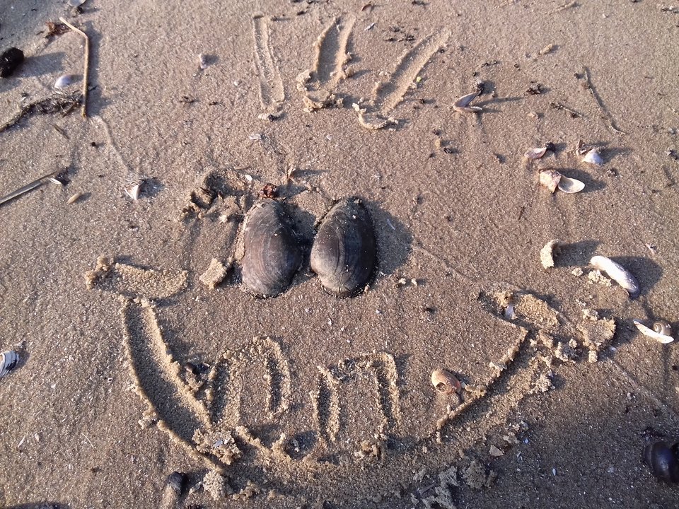 20190802_192717.jpg - torii99