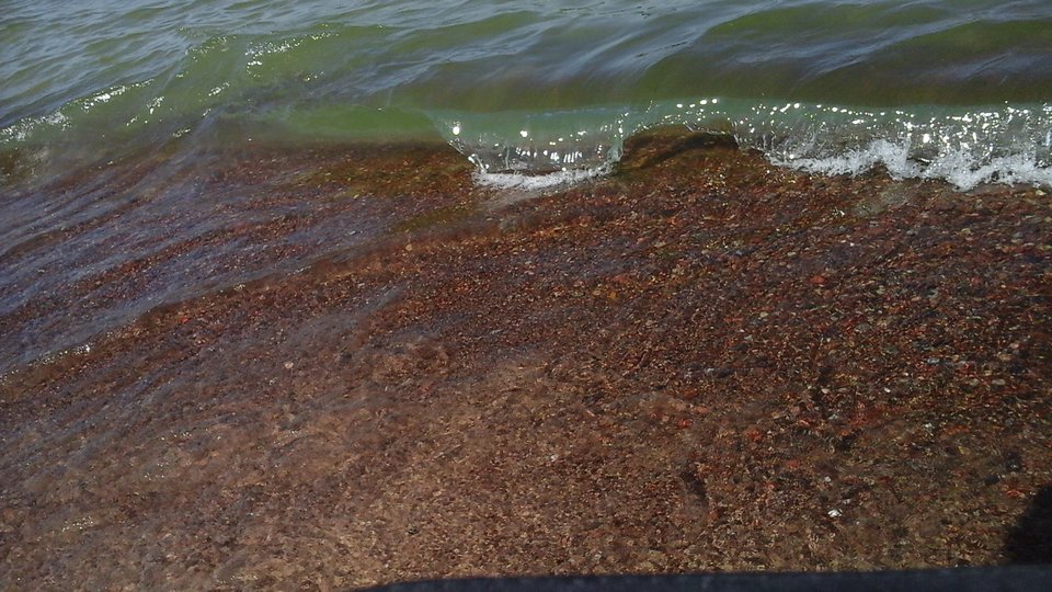 20190803_131608.jpg - biMiKpuszysta