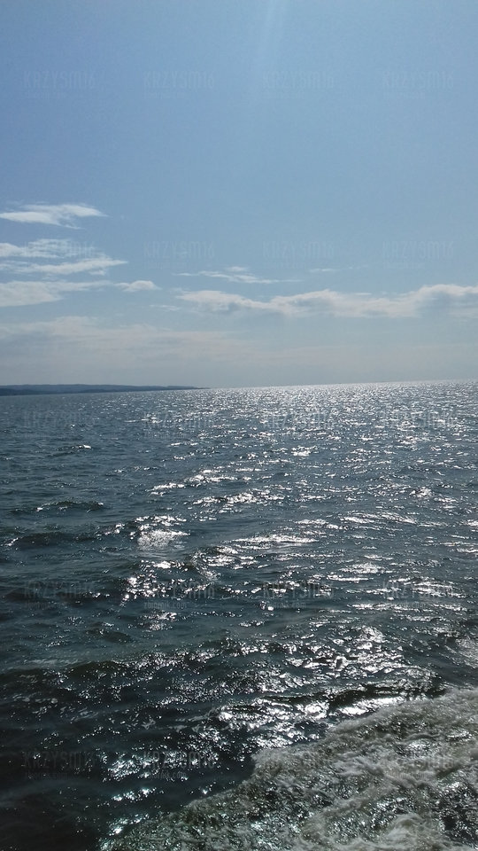 20190803_153324.jpg - krzysm16