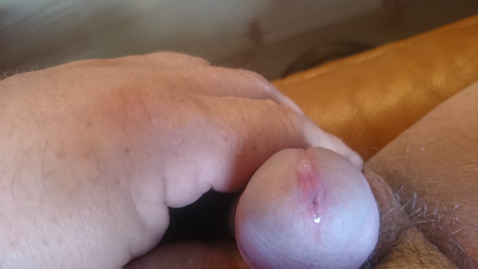 DSC_0216.JPG - forsajt