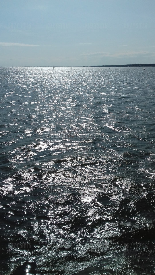 20190803_161308.jpg - krzysm16