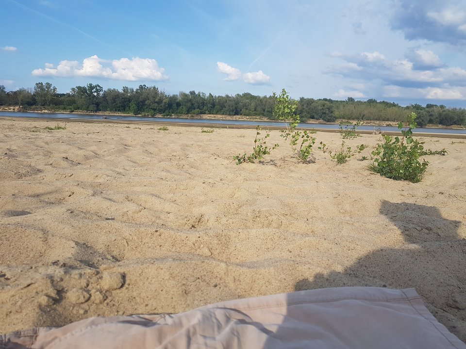 20190803_172726.jpg - EdekP