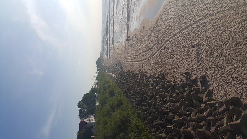 20180611_184619.jpg - tobiasz67