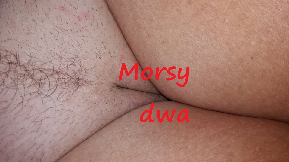 Cipka Morsicy. - Morsy_dwa