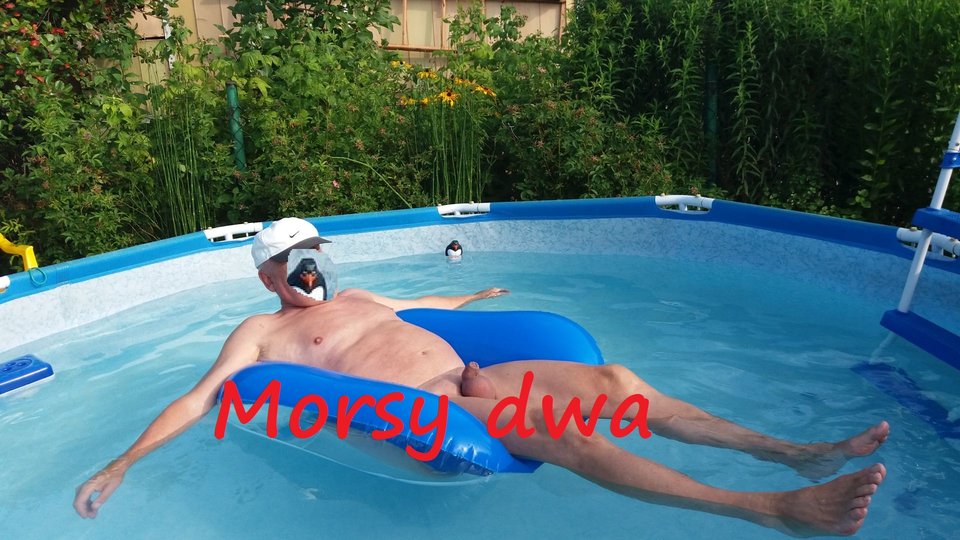 Nawodniak. - Morsy_dwa