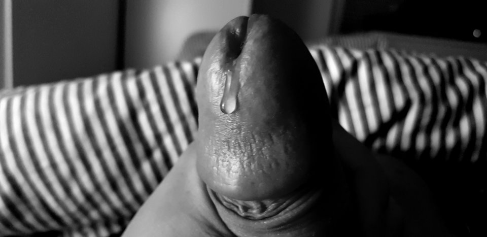 15648647734703565424973391482751.jpg - Zminimalizowany