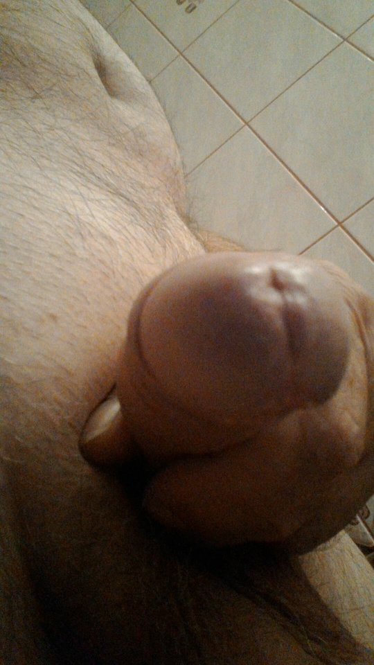 67462388_511489486058709_282147972316135424_n.jpg - konrad5258